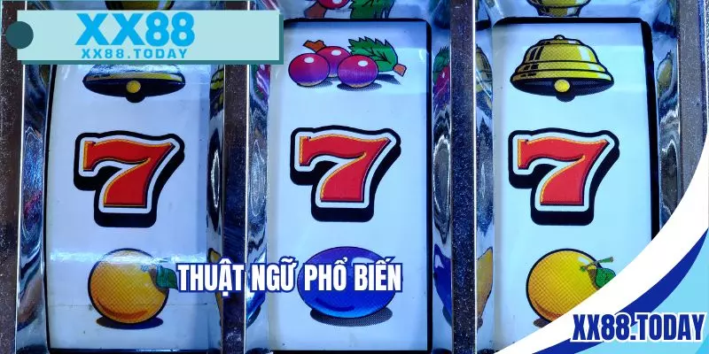Các thuật ngữ phổ biến và ý nghĩa tương ứng