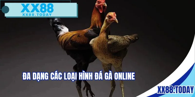 Đa dạng các hình thức chọi kê trực tuyến tại nhà cái