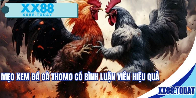 Vận dụng một số mẹo khi xem chọi kê có BLV